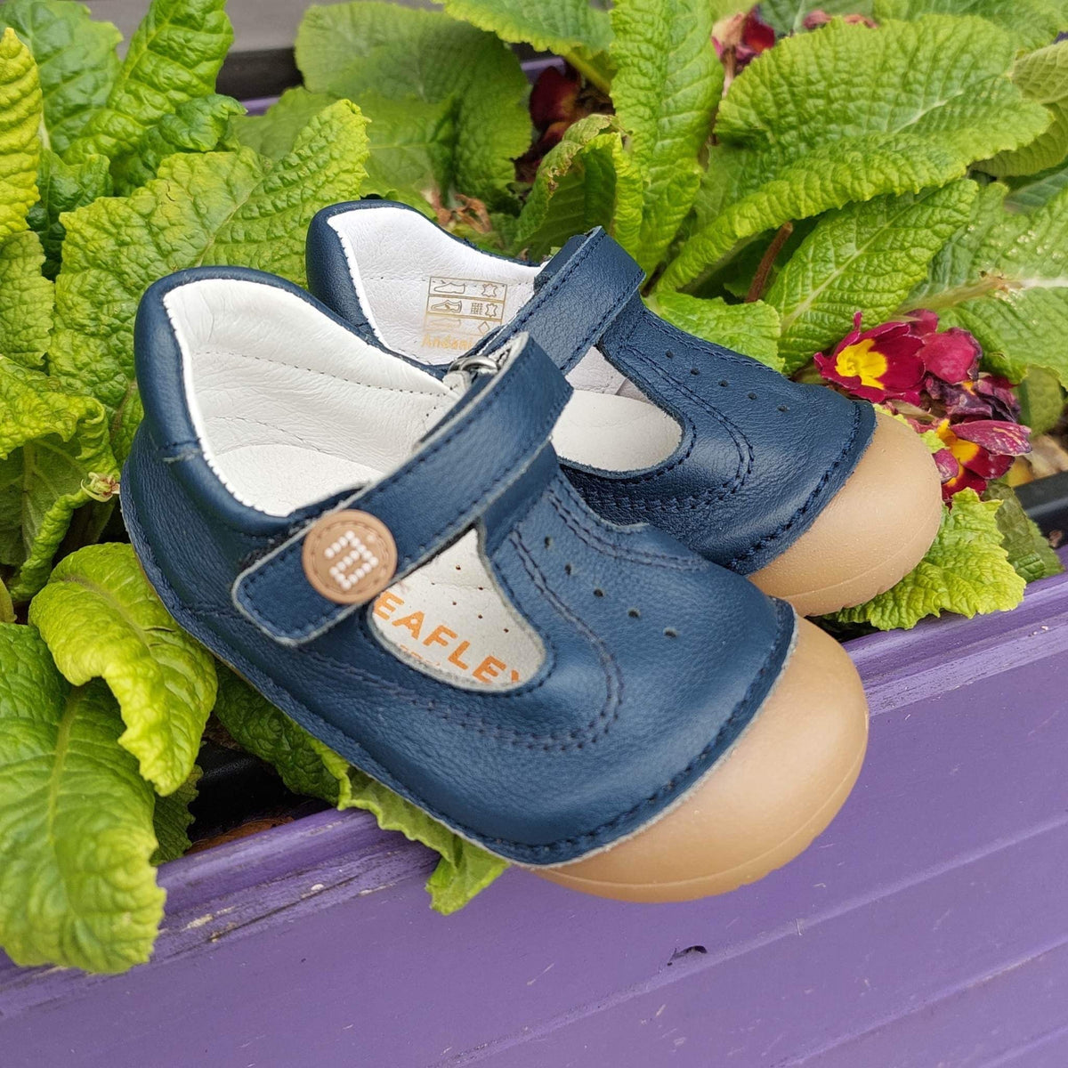 andanines pre walkers