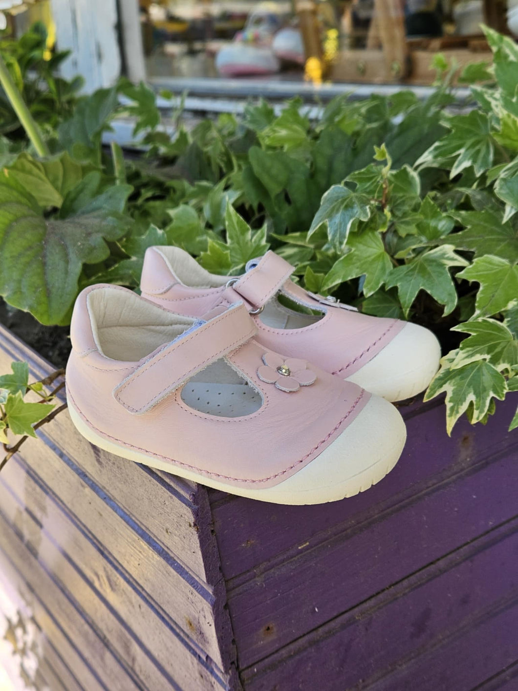 Andanines 211113-22 Pink Leather