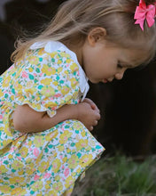 Load image into Gallery viewer, Rylee Faith Easter Yellow Chick Embroidery Floral Dress
