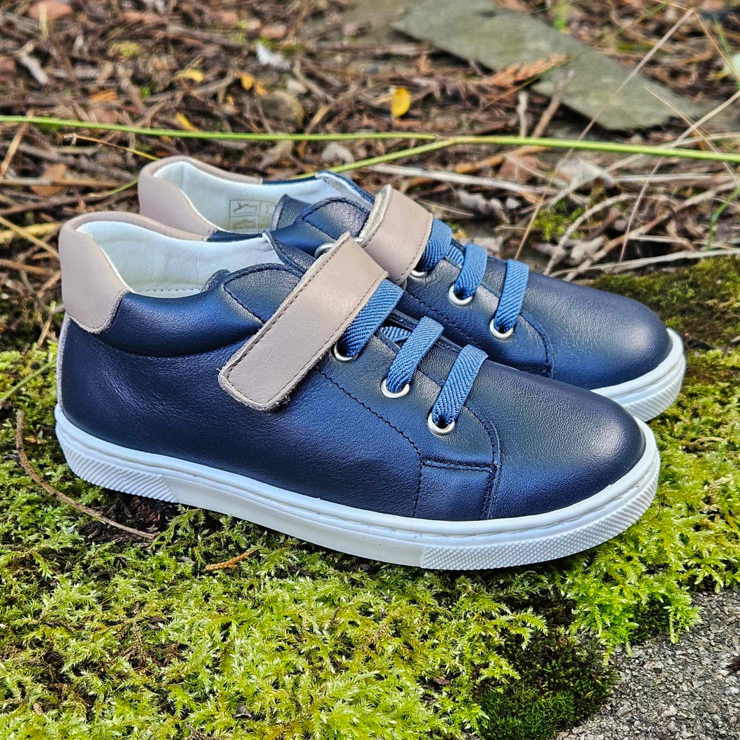 Andanines 222296-8 Navy/Stone