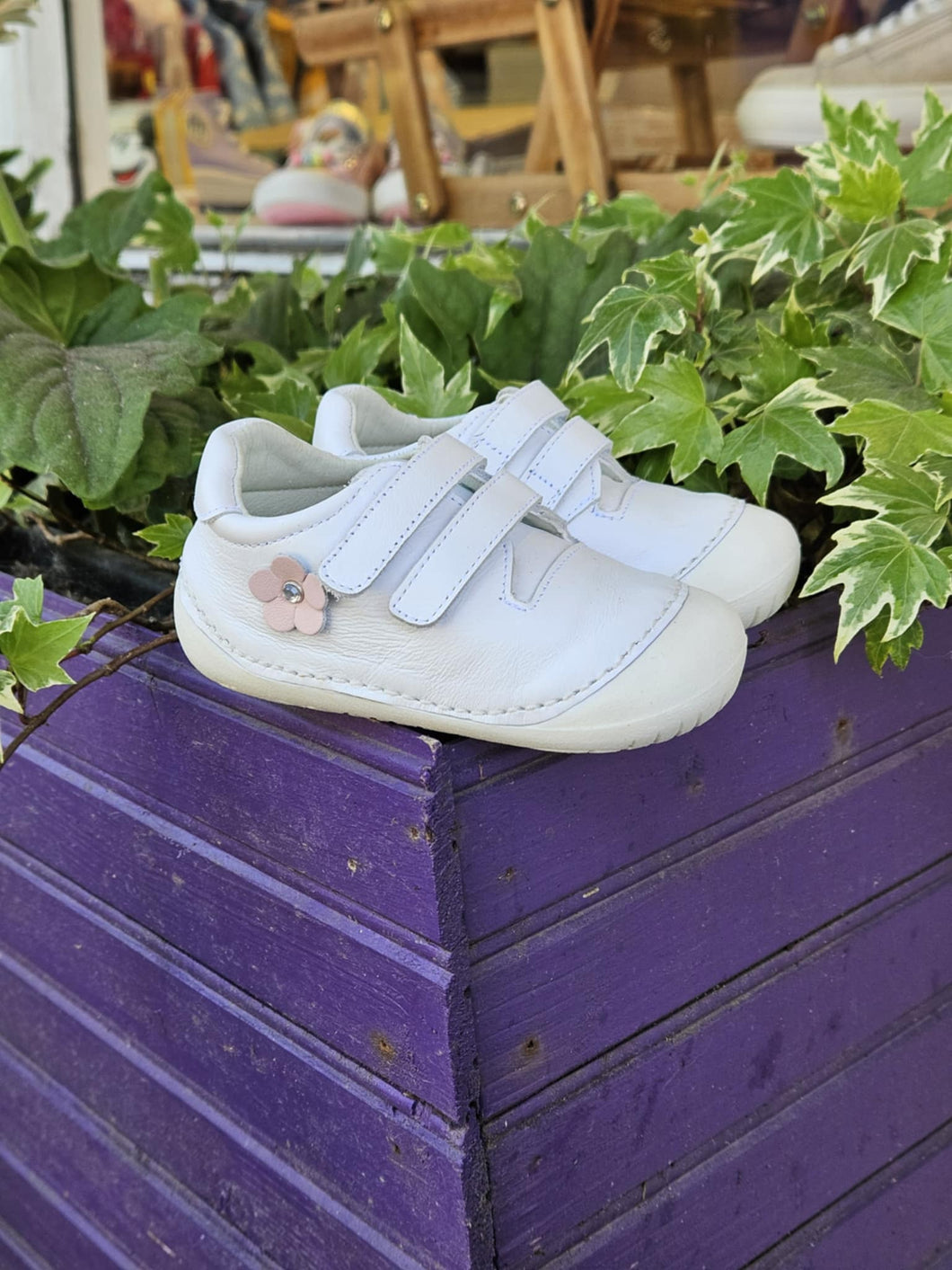 242204 White with Pink