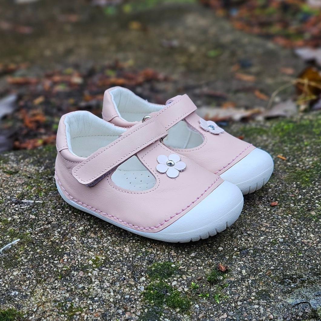 Andanines 211113-11 Rosa Leather